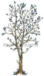 S-41 Spring Tree